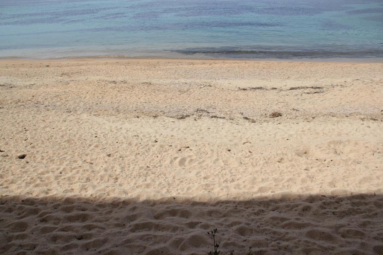 Studio Pieds Dans L'Eau Ajaccio  Exterior foto